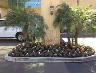 Photos from Nick Martin Landscape Service