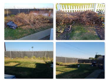 Debris and fence removal Westminster before/after