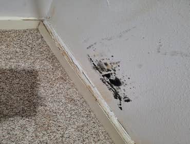 Photos by Delta Construction & Restoration Corp #1