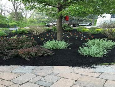 Photos by Lopez Aparicio Landscaping Inc #1