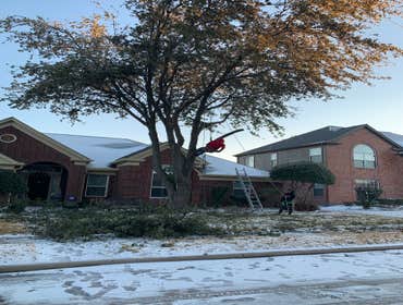 Photos by K-perez Tree Services #1