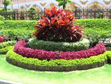 Photos by B&c Fruit Trees & Landscape LLC #1
