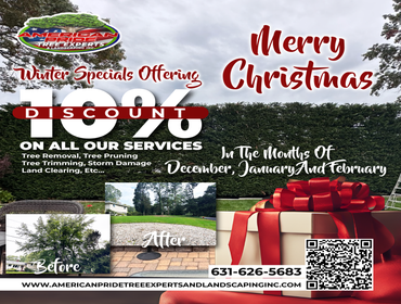 Photos by American Pride Tree Experts & Landscaping Inc #69