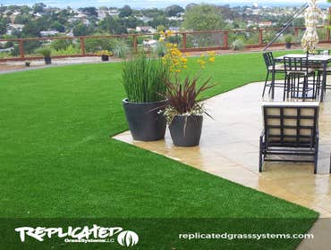 Photos from Replicated Grass Systems