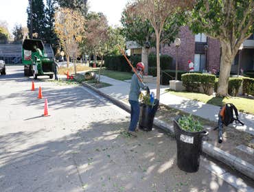 Photos by California Green Tree Care #1