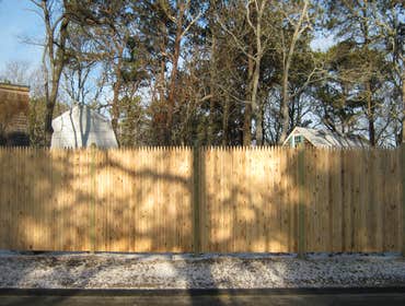Cedar