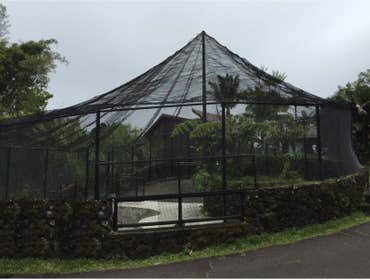 Chainlink Fence