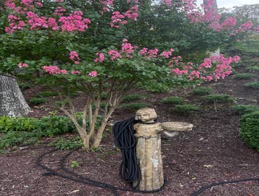 Photos by Beauty Meister Landscaping LLC #2