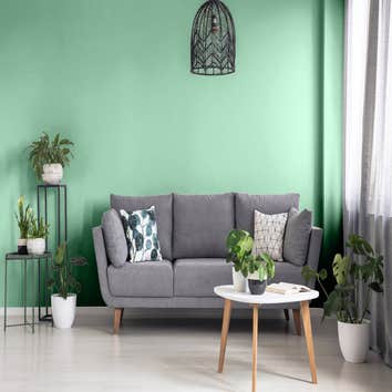 The St Louis Painting Company