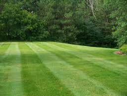 Photos by Elegant Landscaping #1