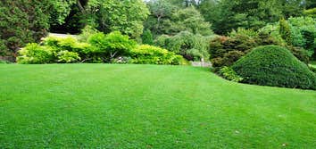 ATX Landscaping Services