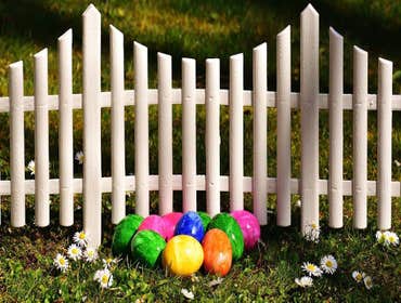 Fences