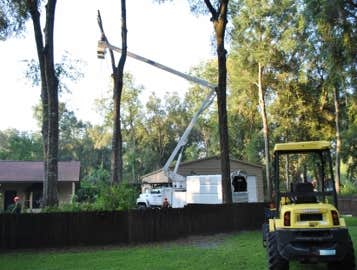 Photos by Authority Tree Service #1