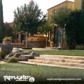 Photos from Replicated Grass Systems