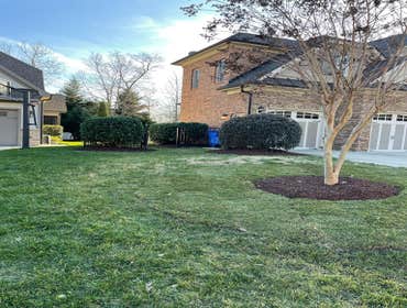 Photos by Neighborhood Lawn Service #2