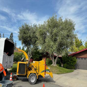 Photos by A+ Ramirez Tree Service #1
