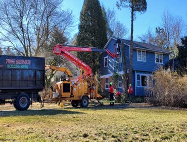 Photos by Green Point Tree Services & Landscaping #5