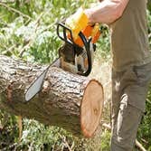 the Tree Company Mn