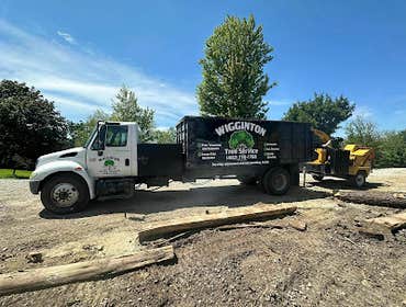 Photos by Wigginton Tree Service #1
