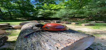 Photos by Diaz Tree Service & Landscaping LLC #2