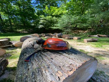 Photos by Diaz Tree Service & Landscaping LLC #2