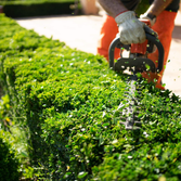 javi's Landscaping