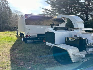 Photos by Bersch Tree Service LLC #1