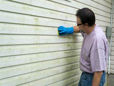 Photos by Mold Experts of Dirty T #1