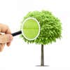 K & S Tree Care, Inc. logo