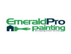 Photos by Emeraldpro Painting of Boise #1