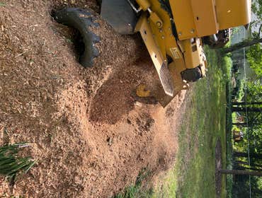 Stump Grinder