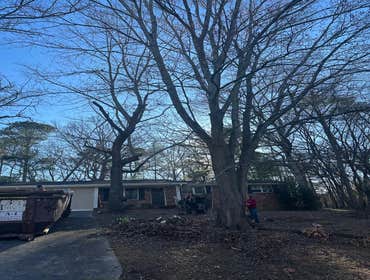Photos by Kings Tree Service & Landscaping Co #15