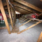 Koala Insulation of the East Valley