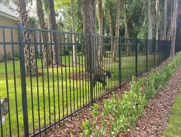 Fences