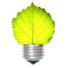 Solar Energy Carrollwood logo