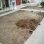 Affordable Landscape