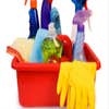 Forte Cleaning logo