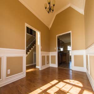 Photos