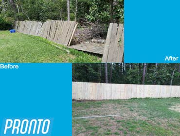 Before and After Photos