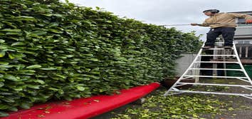 Green Garden Landscaping