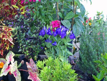 Photo(s) from Everything Outdoors