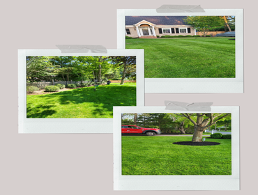 Photos by B&c Carpentry & Landscaping Inc #12