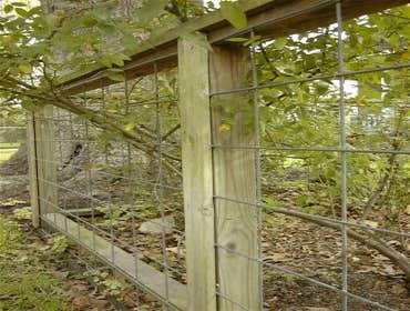 Wood Fence