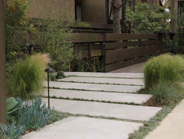Driveway and landscape