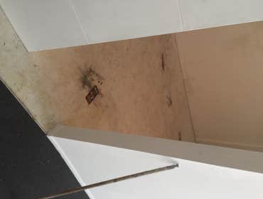 Photos from Project X Concrete Solutions, LLC