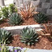 Playa Landscaping Inc Project