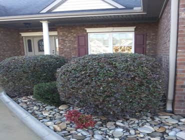 Photos by Best Cuts Lawn Care #1