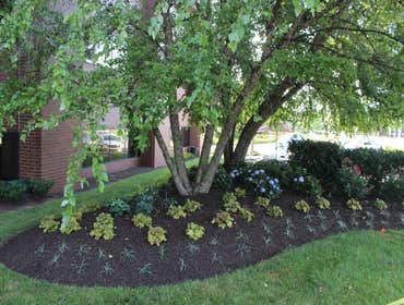 Commercial Project-Atrium King of Prussia