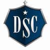 Desert Star Construction, Inc logo