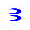 Blue Apple Construction Inc logo